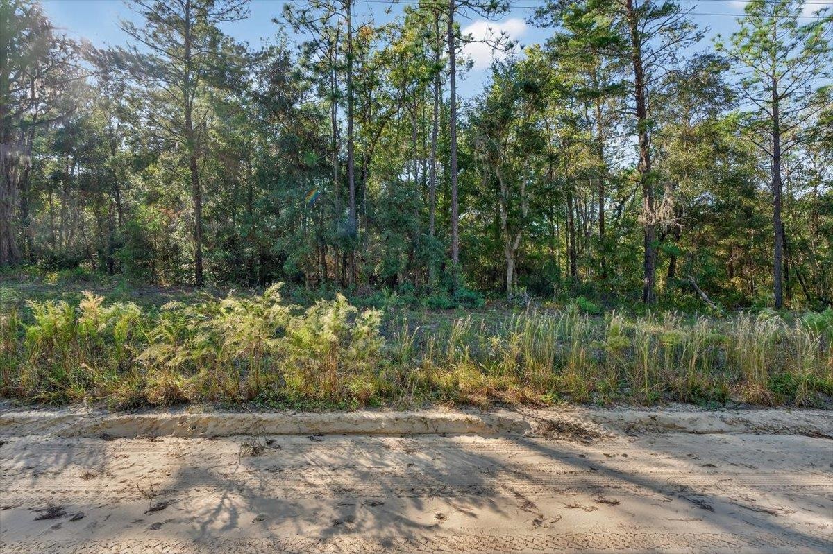 Usina Avenue Interlachen, FL 32148 - Photo 9 of 34 View of yard