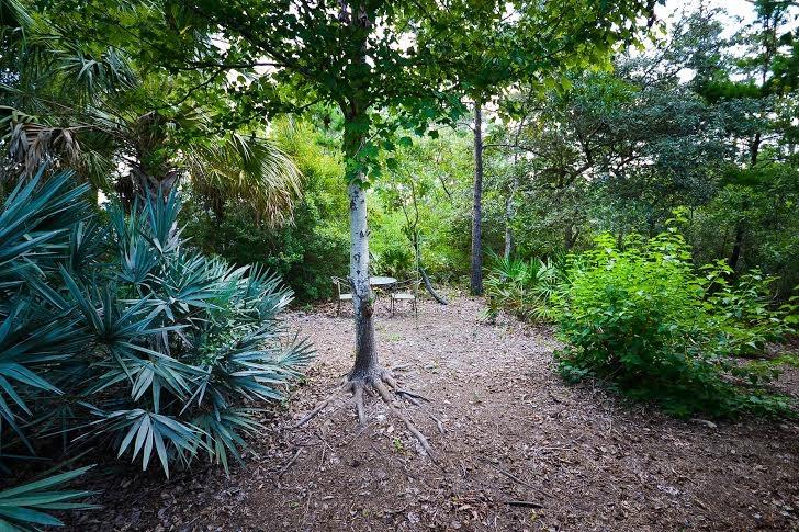 53 Maple Street Santa Rosa Beach, FL 32459 - Photo 14 of 14 a backyard of a house with lots of green space