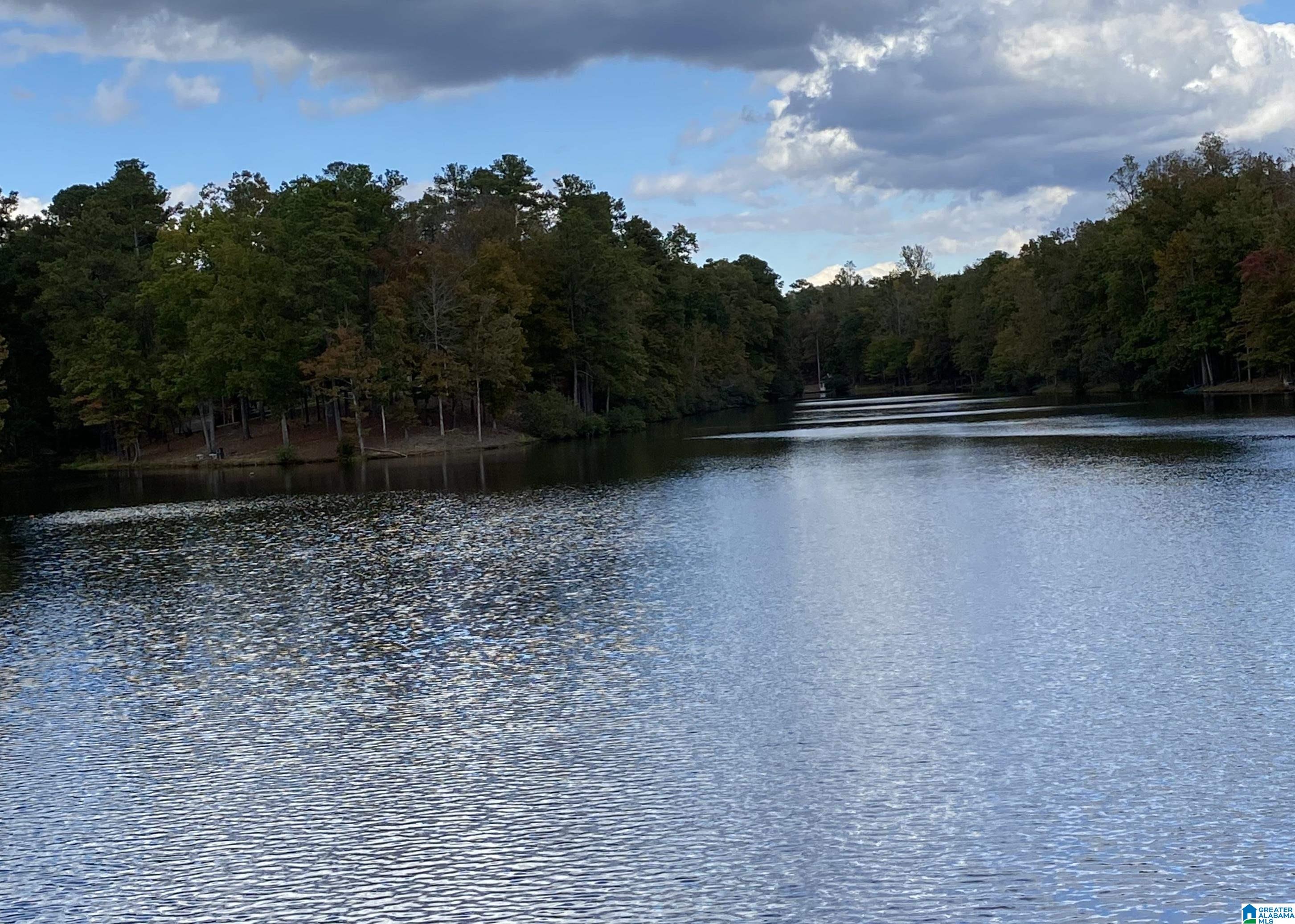 3085 Highland Lakes Road Birmingham, AL 35242 - Photo 64 of 65