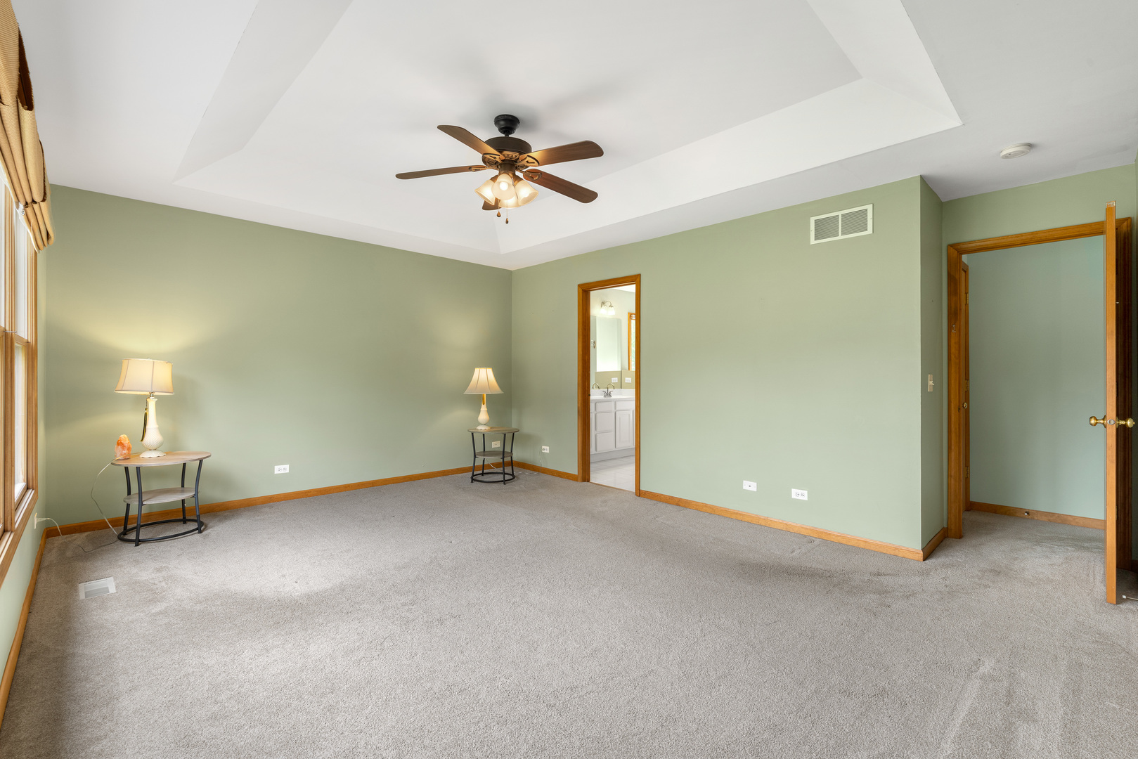 855 Ayers Street Bolingbrook, IL 60440 - Photo 19 of 41