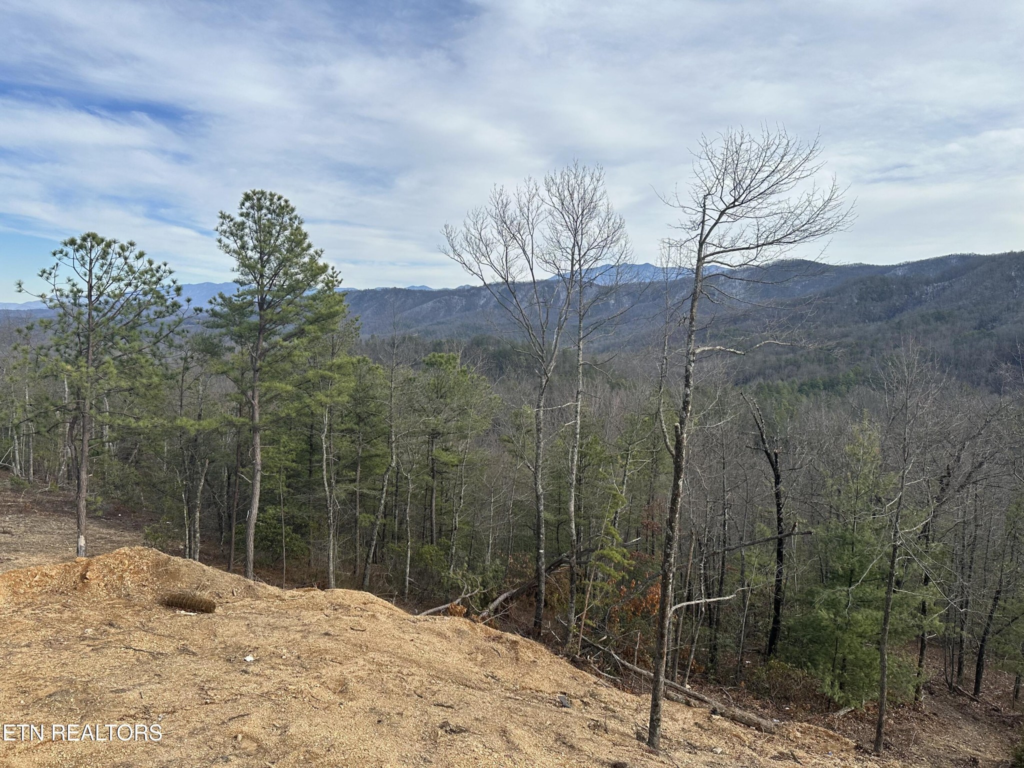1841 Pinestand Rdg Way Sevierville, TN 37862 - Photo 20 of 23 a view of a backyard of a house