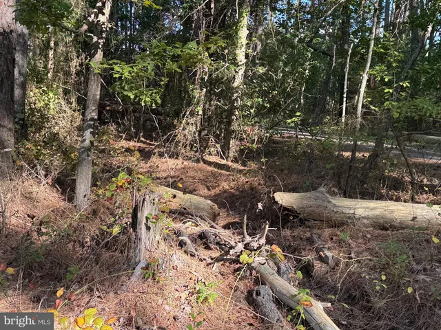 a view of outdoor space