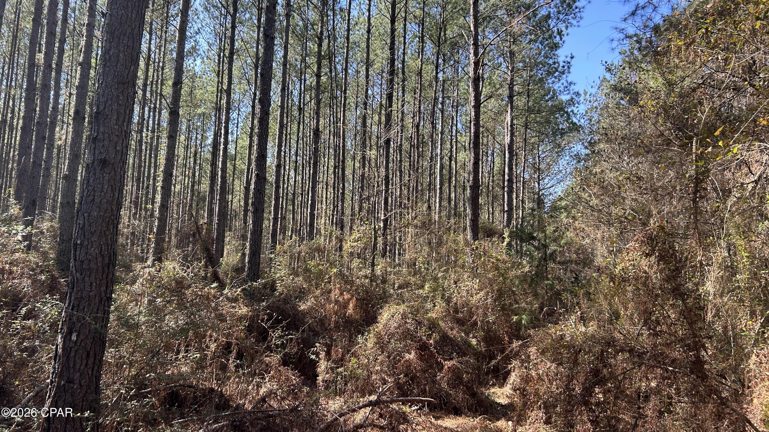 0 Grimes Road, Unit LOT #1 Laurel Hill, FL 32567 - Photo 15 of 27