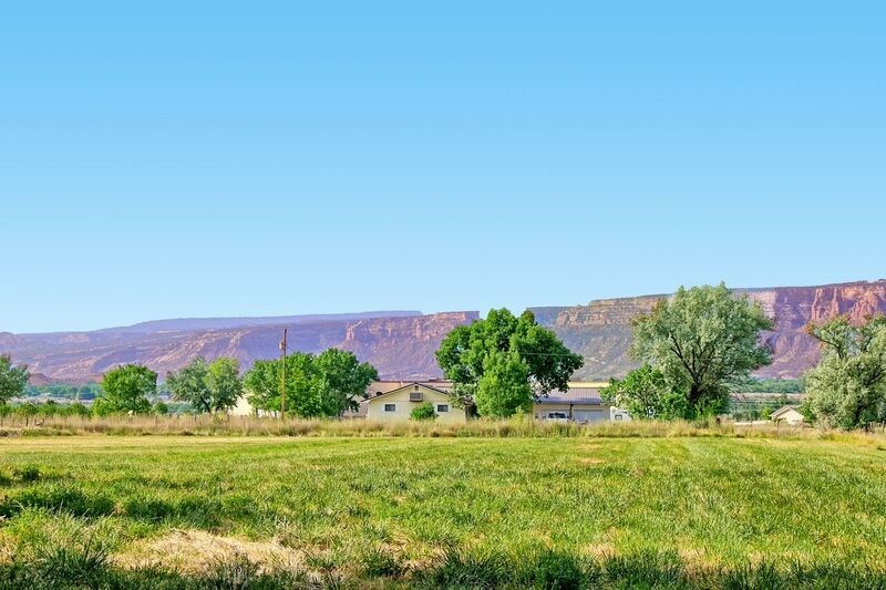 2065 H H 3/4 Road Fruita, CO 81521 - Photo 38 of 42 a view of a garden