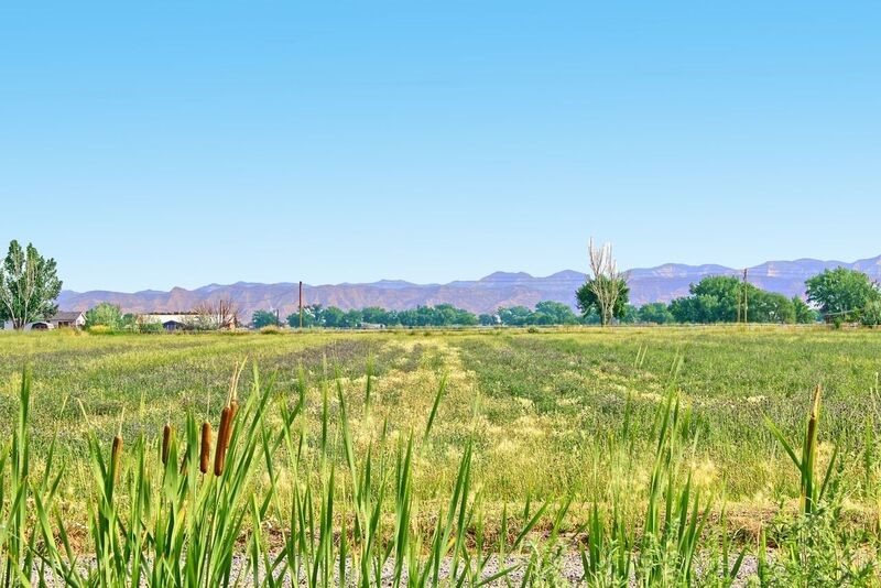2065 H H 3/4 Road Fruita, CO 81521 - Photo 40 of 42 a view of an outdoor space and mountains