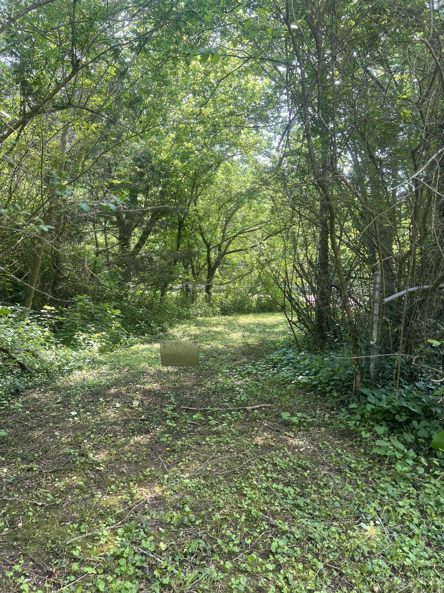 8315 Primm Springs Road Primm Springs, TN 38476 - Photo 11 of 43 Gallery Image 11