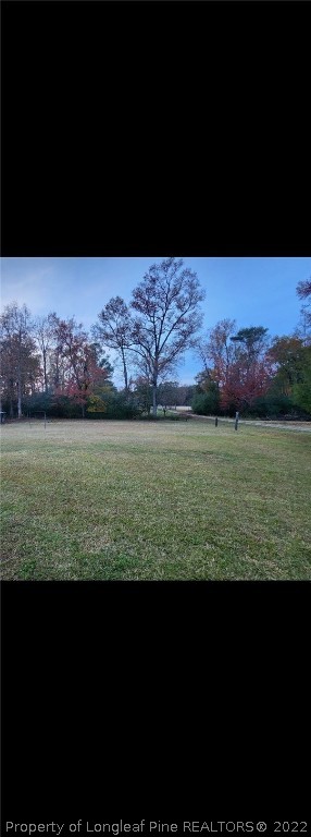 1808 Carry Bridge Road Autryville, NC 28318 - Photo 21 of 22 Gallery Image 21
