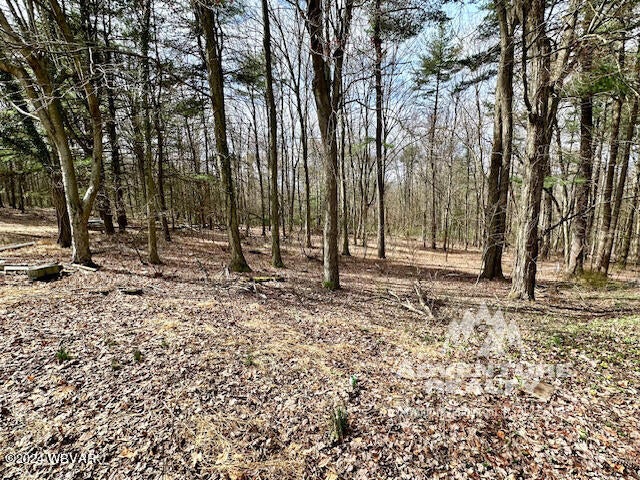 228 Dugan Road Muncy, PA 17756 - Photo 4 of 42 Gallery Image 4