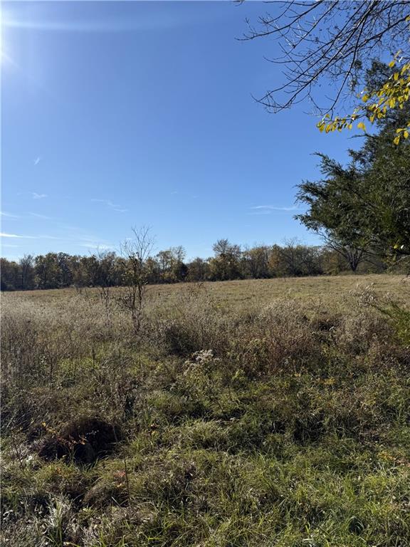 410 Goux Farm Road Marksville, LA 71351 - Photo 2 of 5