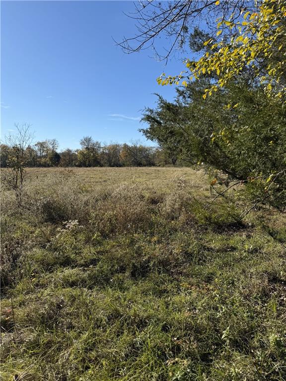 410 Goux Farm Road Marksville, LA 71351 - Photo 3 of 5