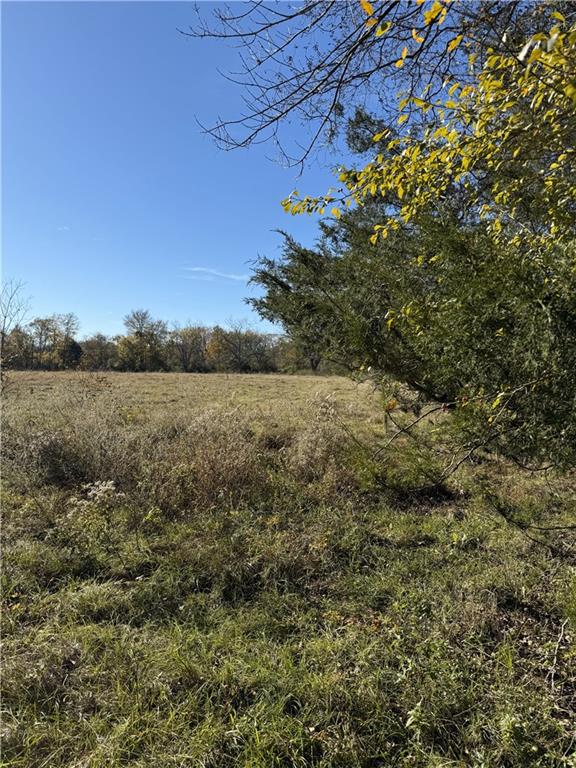 410 Goux Farm Road Marksville, LA 71351 - Photo 4 of 5