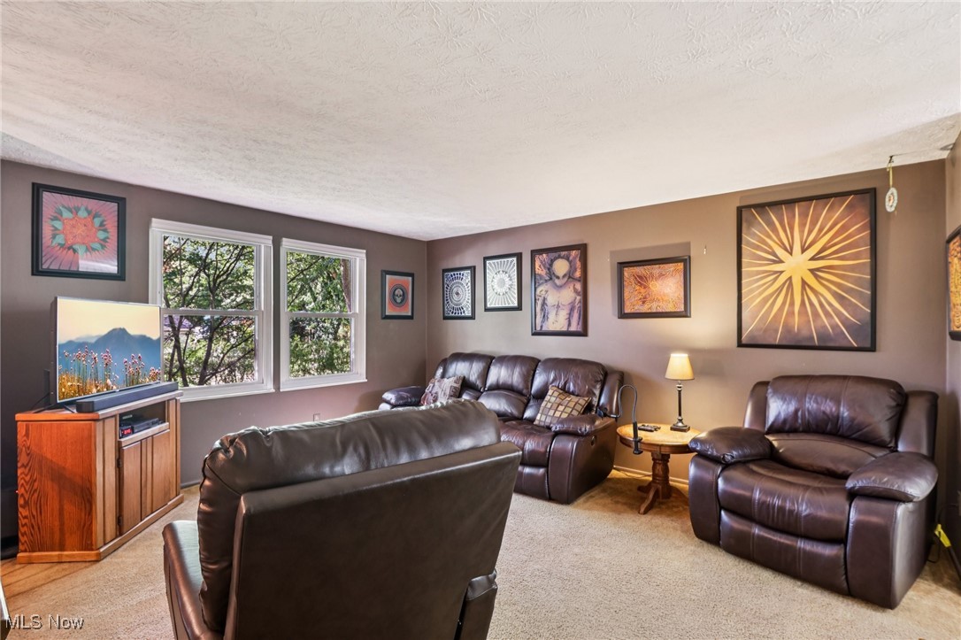 1625 Travers Road Madison, OH 44057 - Photo 10 of 41 Living room featuring light colored carpet and a textured ceiling