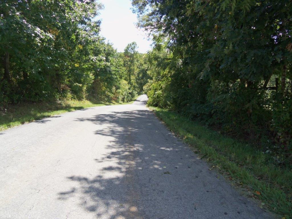 Tbd Fairview Church Road Southwest Floyd, VA 24091 - Photo 6 of 17 Gallery Image 6