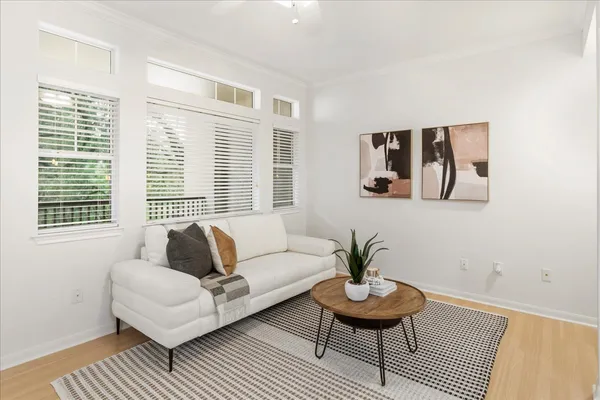 a living room with furniture and a potted plant