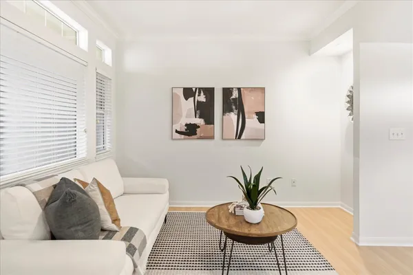 a living room with furniture and a potted plant