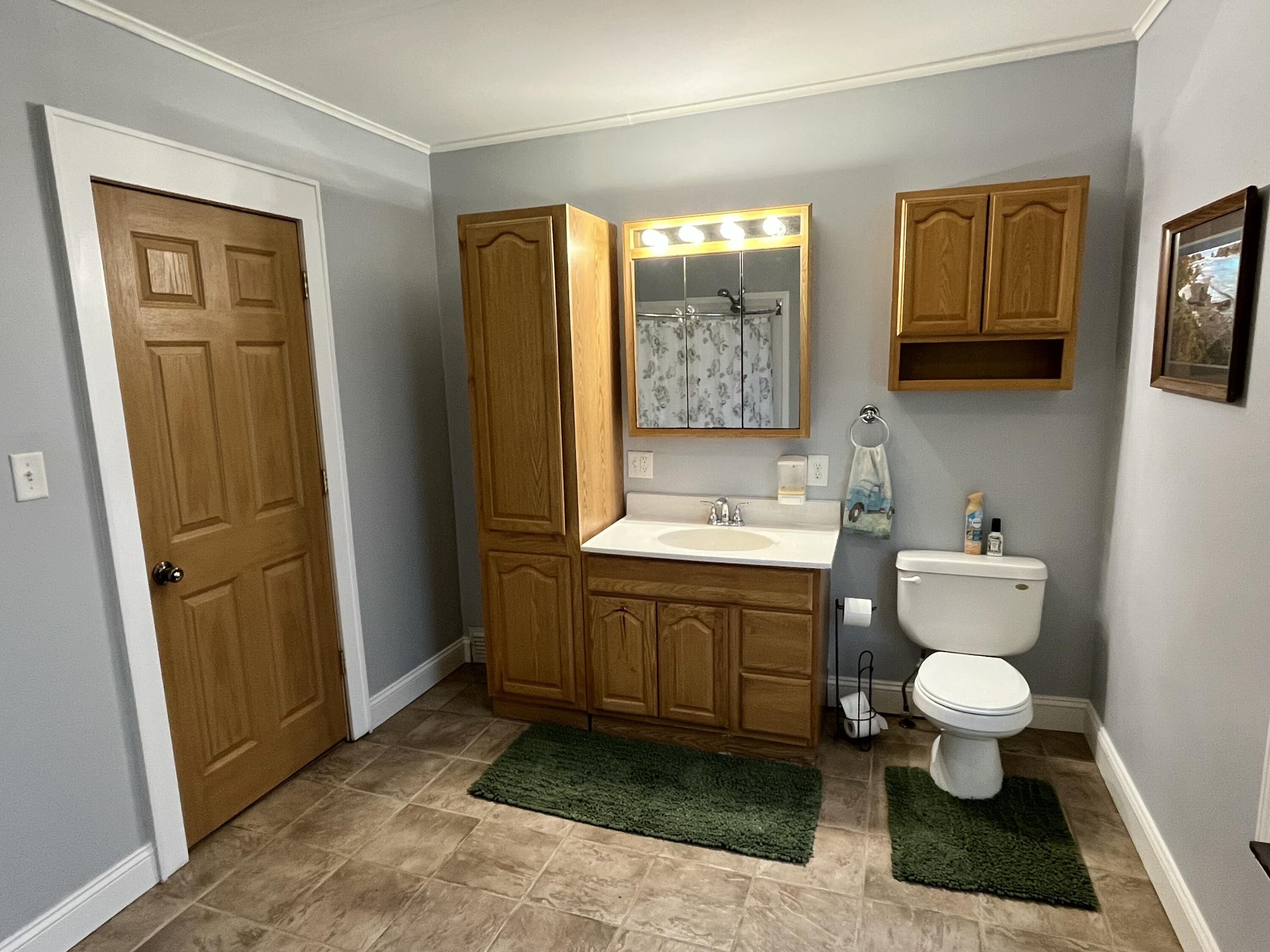 924 North 8th Street Manitowoc, WI 54220 - Photo 15 of 32 Lower Bathroom