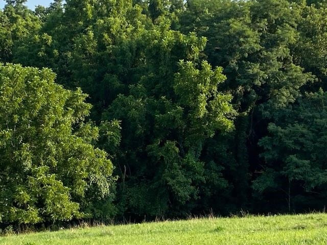 603 Cane Run Road Carlisle, KY 40311 - Photo 28 of 32 Gallery Image 28