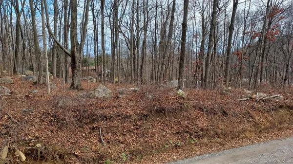 a view of backyard with green space