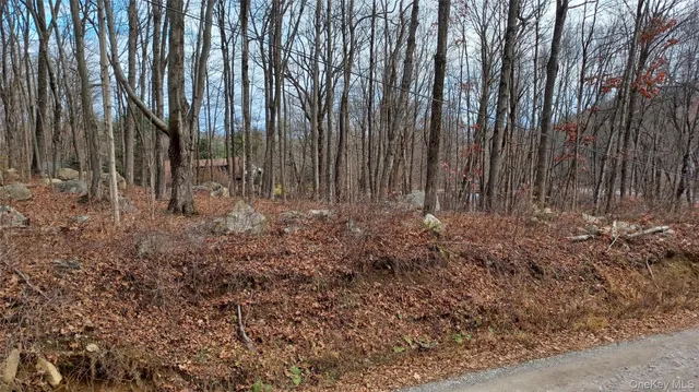 a view of backyard with green space