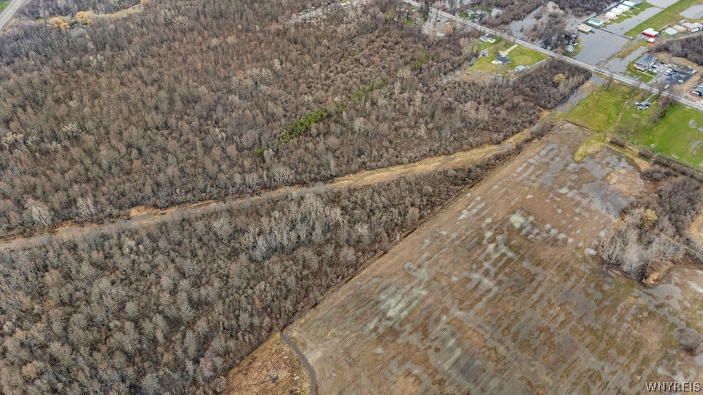 10990 Transit Road Amherst, NY 14051 - Photo 9 of 30