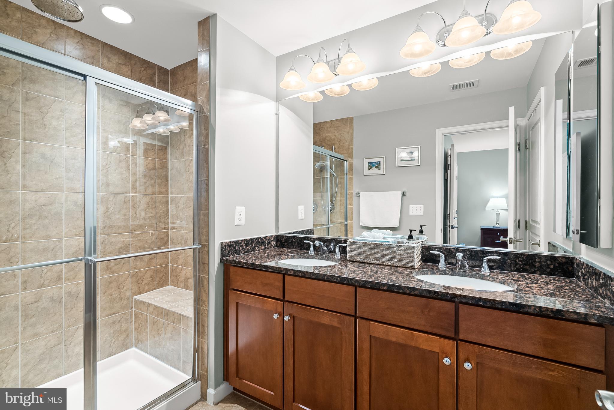 3409 Kemper Road Arlington, VA 22206 - Photo 26 of 58 Primary Bath