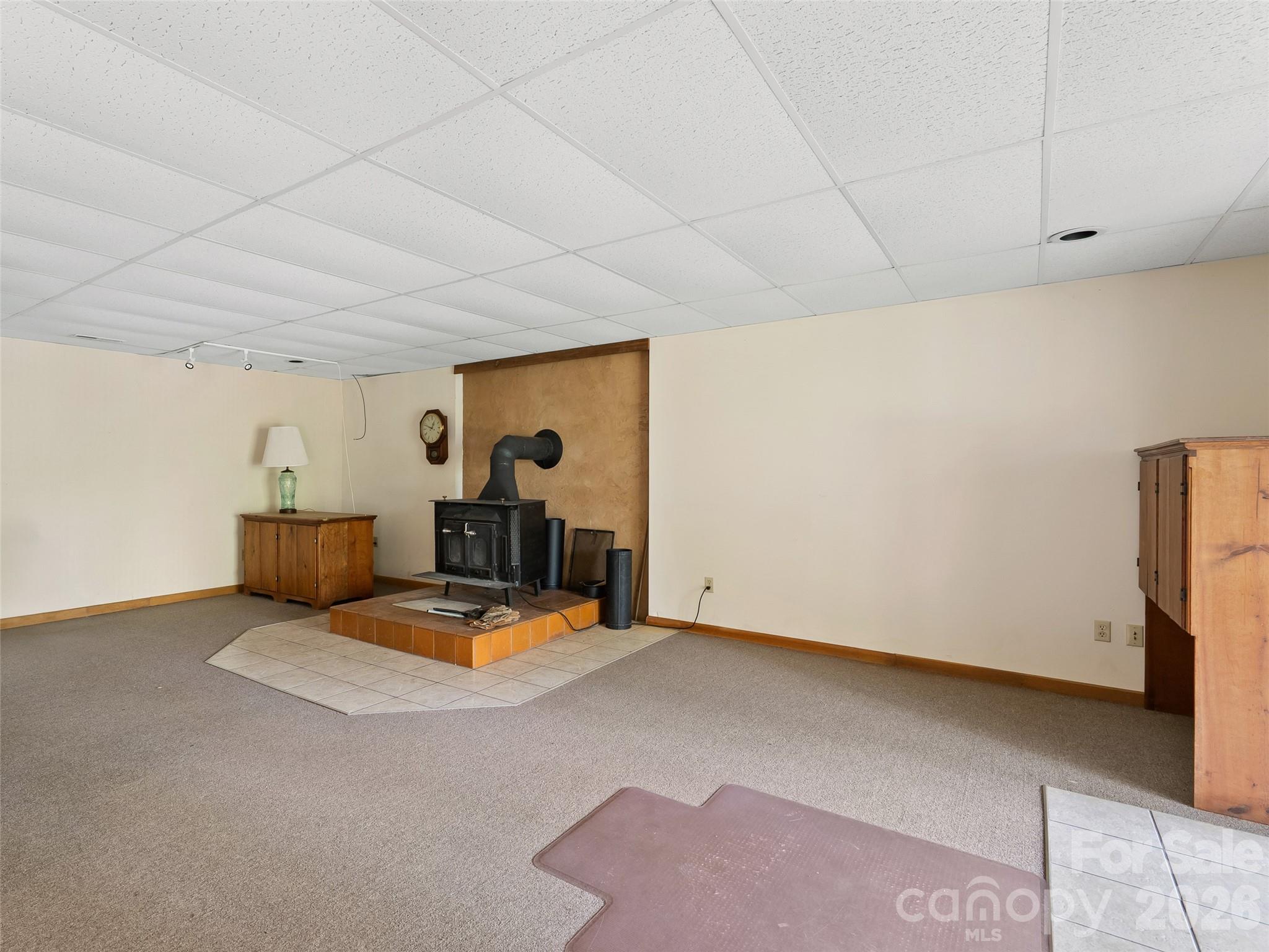 120 Carter Cove Road Asheville, NC 28804 - Photo 25 of 47