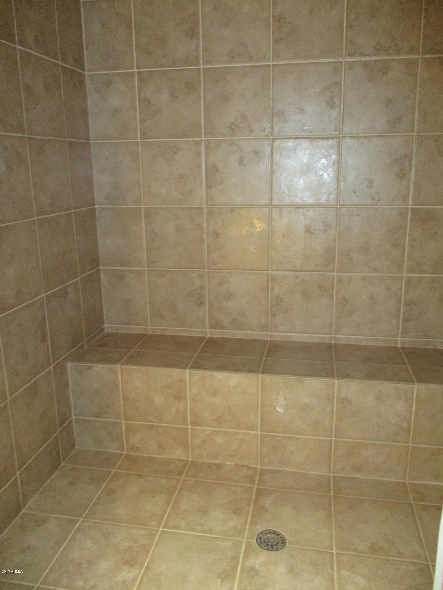 2561 North Prospectors Road Apache Junction, AZ 85119 - Photo 33 of 67 IMG_0351