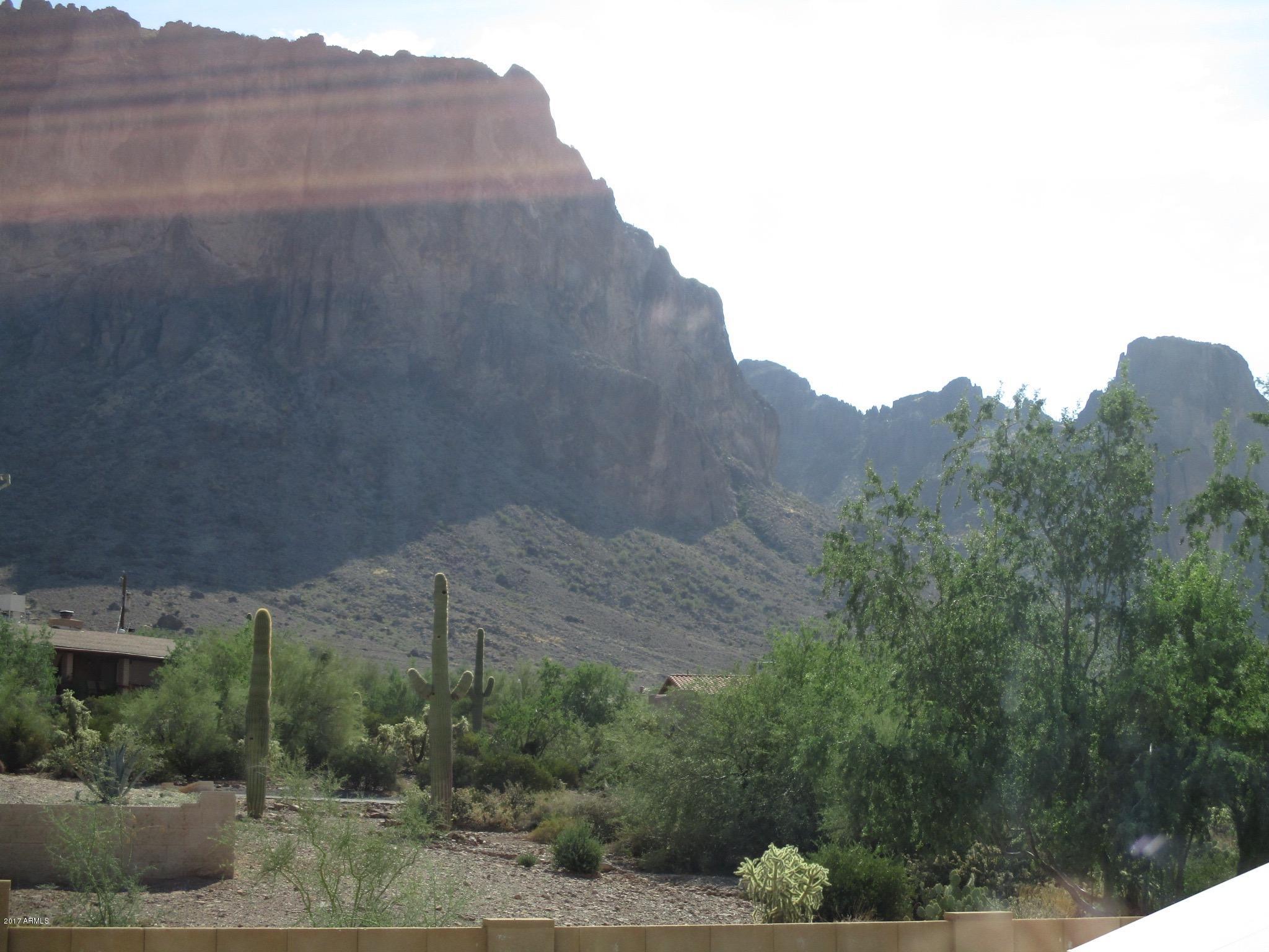 2561 North Prospectors Road Apache Junction, AZ 85119 - Photo 64 of 67 viewoutwindow