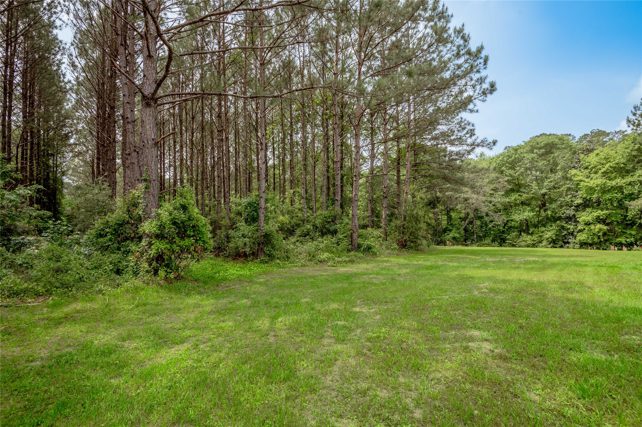 3134 Nursery Road Livingston, TX 77351 - Photo 42 of 50 There is some land to just to the back of the home.