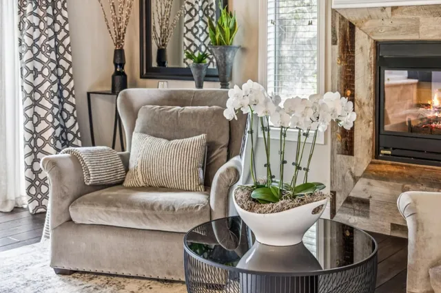 a view of a dining room with furniture and a potted plant