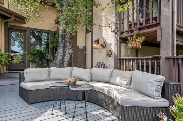 a view of a patio with couches and a potted plant on a table