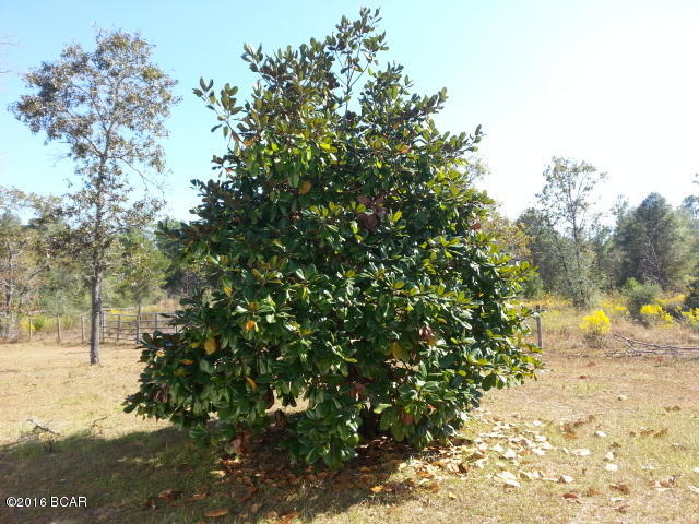10011 Western Road Fountain, FL 32438 - Photo 40 of 44 Gallery Image 40