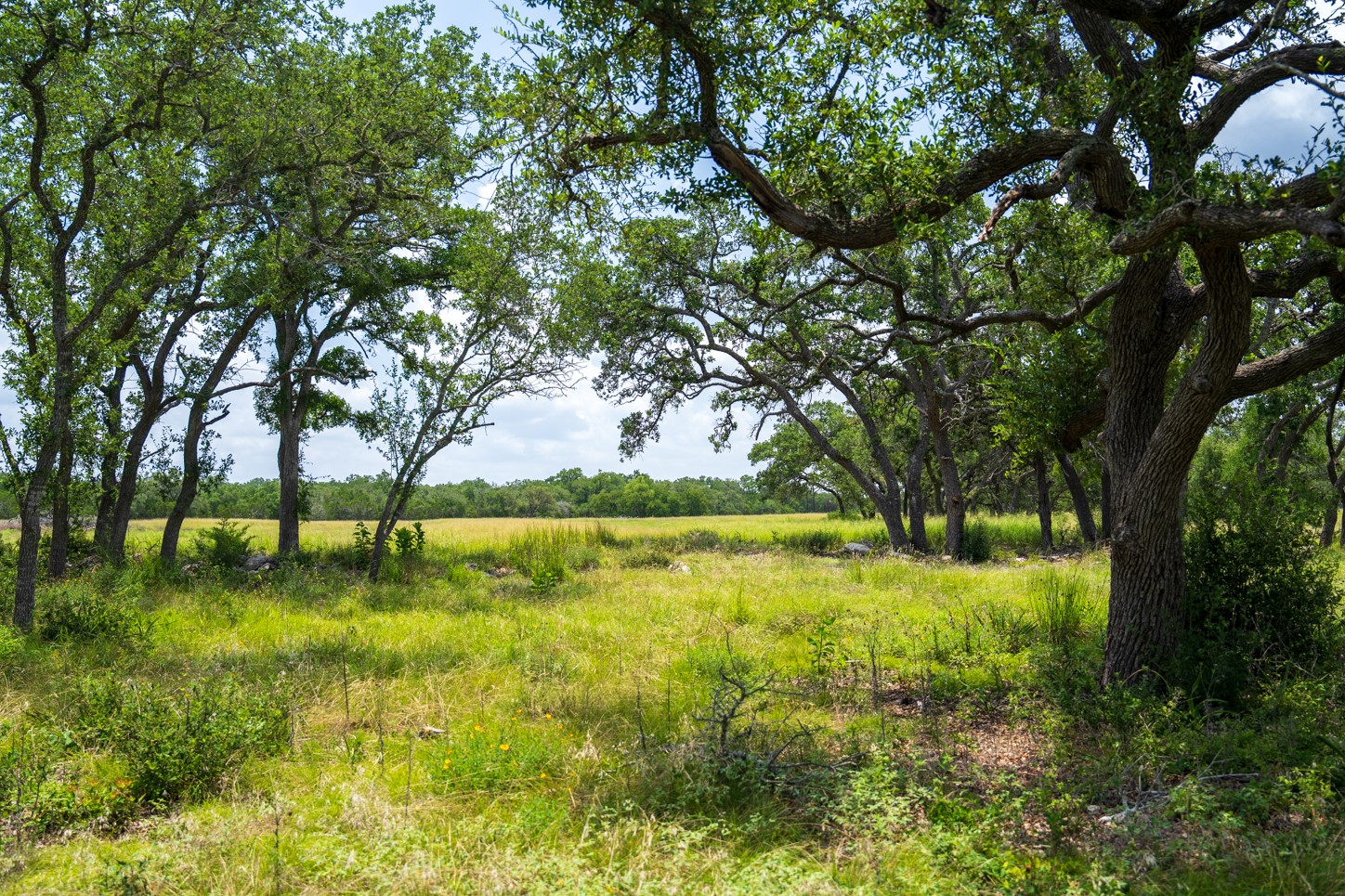 3979 Chimney Valley Road Blanco, TX 78606 - Photo 7 of 34 a swimming pool with trees in the background