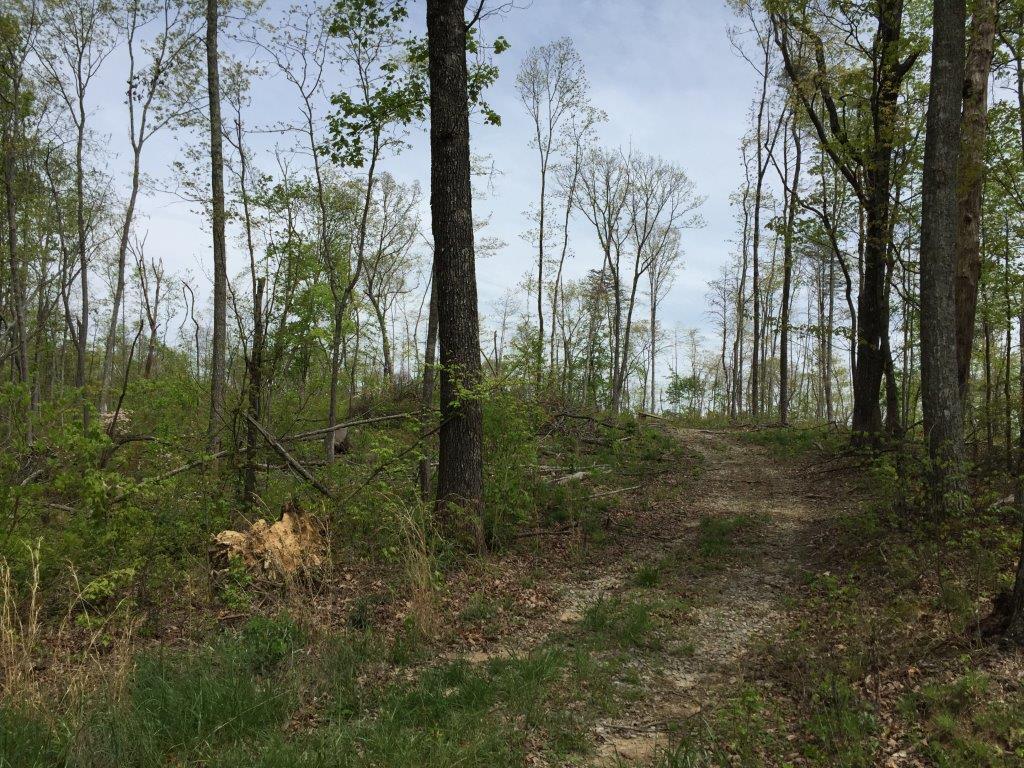 4 Sequatchie Mountain Road, Unit 4 Sequatchie, TN 37374 - Photo 1 of 5 IMG_7623