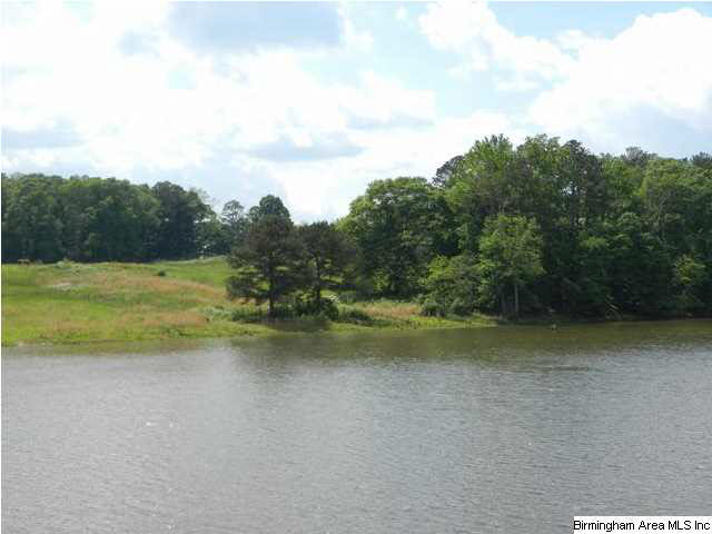 Tyson Road, Unit 72 2 Ashland, AL 36251 - Photo 9 of 22 Gallery Image 9