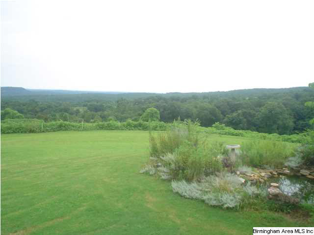 3205 Ebell Road Oneonta, AL 35121 - Photo 18 of 23 Gallery Image 18