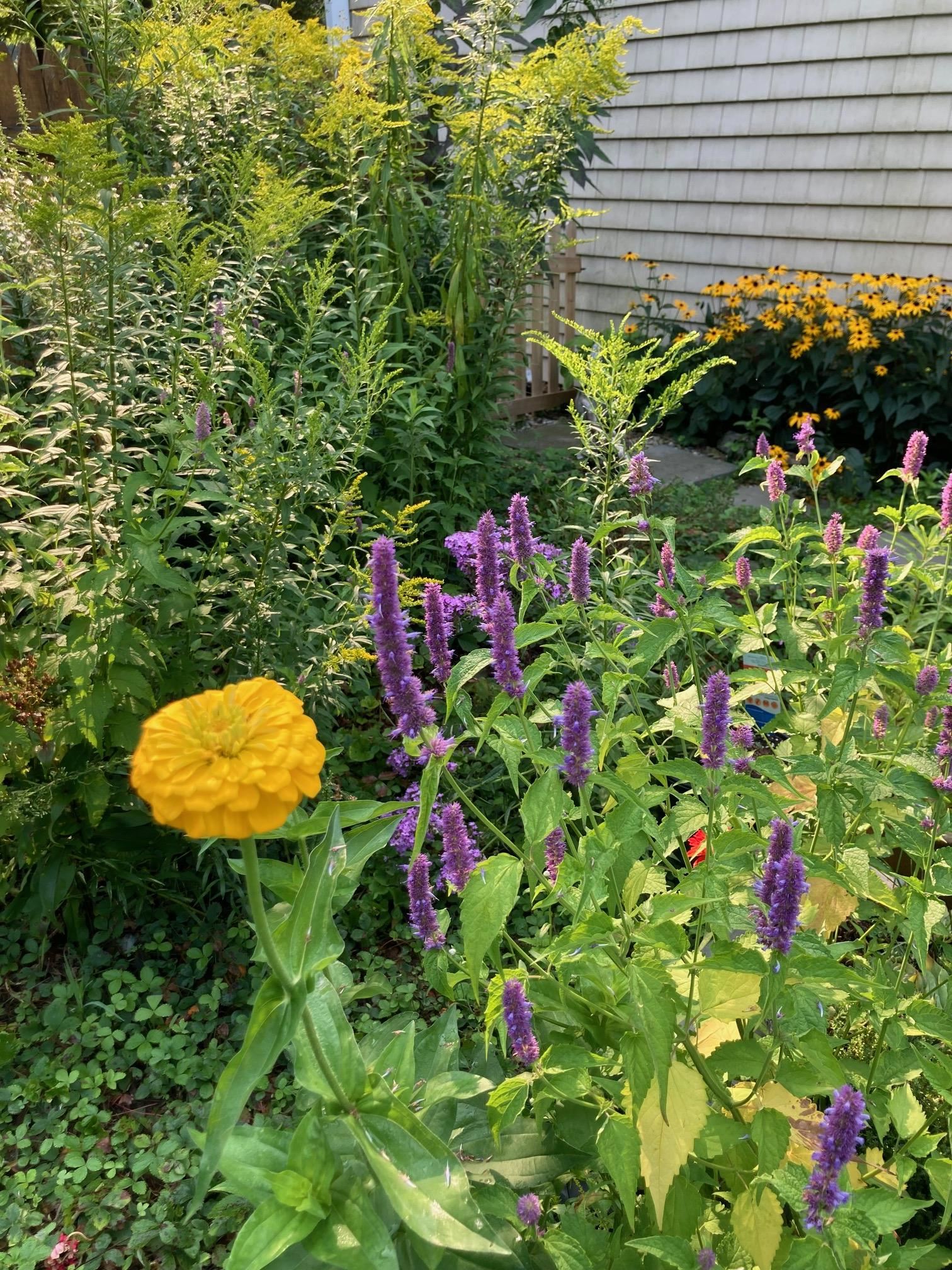 36 Putney Road Bow, NH 03304 - Photo 46 of 50