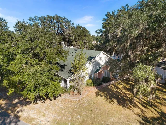 a view of a forest with a tree