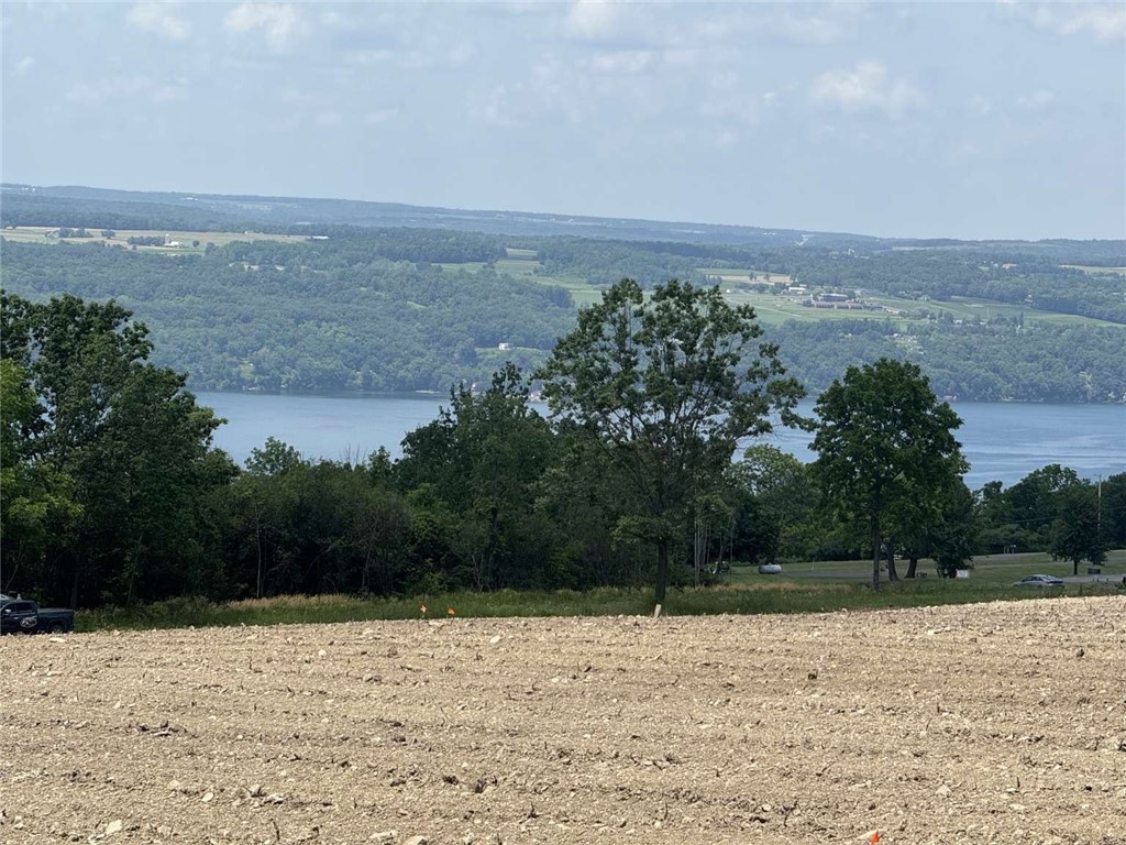 0 Shumway Road Burdett, NY 14818 - Photo 3 of 6