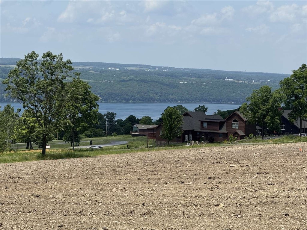 0 Shumway Road Burdett, NY 14818 - Photo 6 of 6