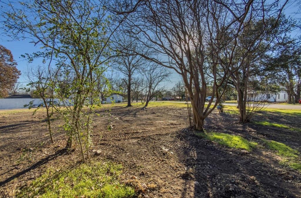 4676 Old Dallas Road Elm Mott, TX 76640 - Photo 7 of 10 a view of yard with tree