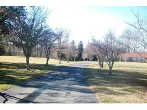 9841 White Oak Road, Unit 1 Wise, VA 24293 - Photo 3 of 24 Tree Lined Driveway