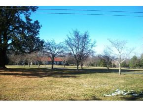 9841 White Oak Road, Unit 1 Wise, VA 24293 - Photo 4 of 24 Front Yard