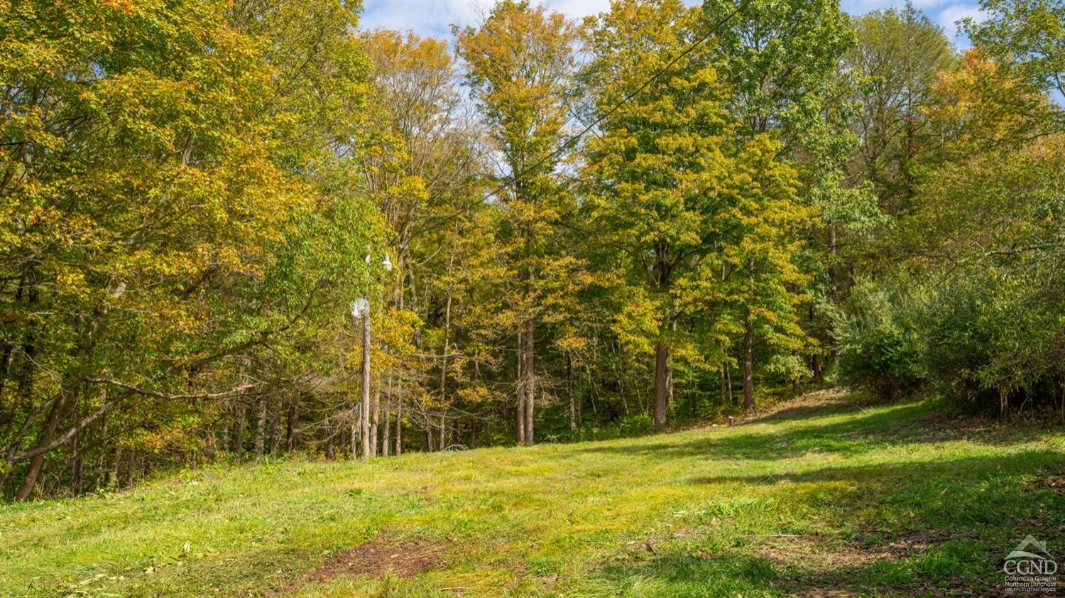 205 New Forge Rd I Taghkanic, NY 12502 - Photo 1 of 15 Photo 1