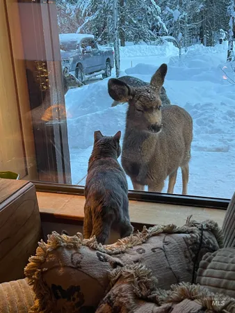 $779,000 | 306 Rio Vista Boulevard, McCall, ID 83638