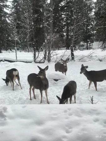 $779,000 | 306 Rio Vista Boulevard, McCall, ID 83638