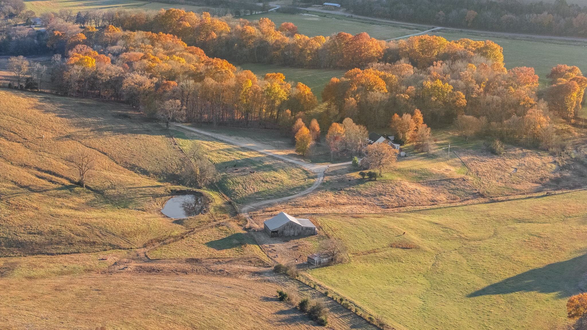 60 Groce Road Fayetteville, TN 37334 - Photo 3 of 94