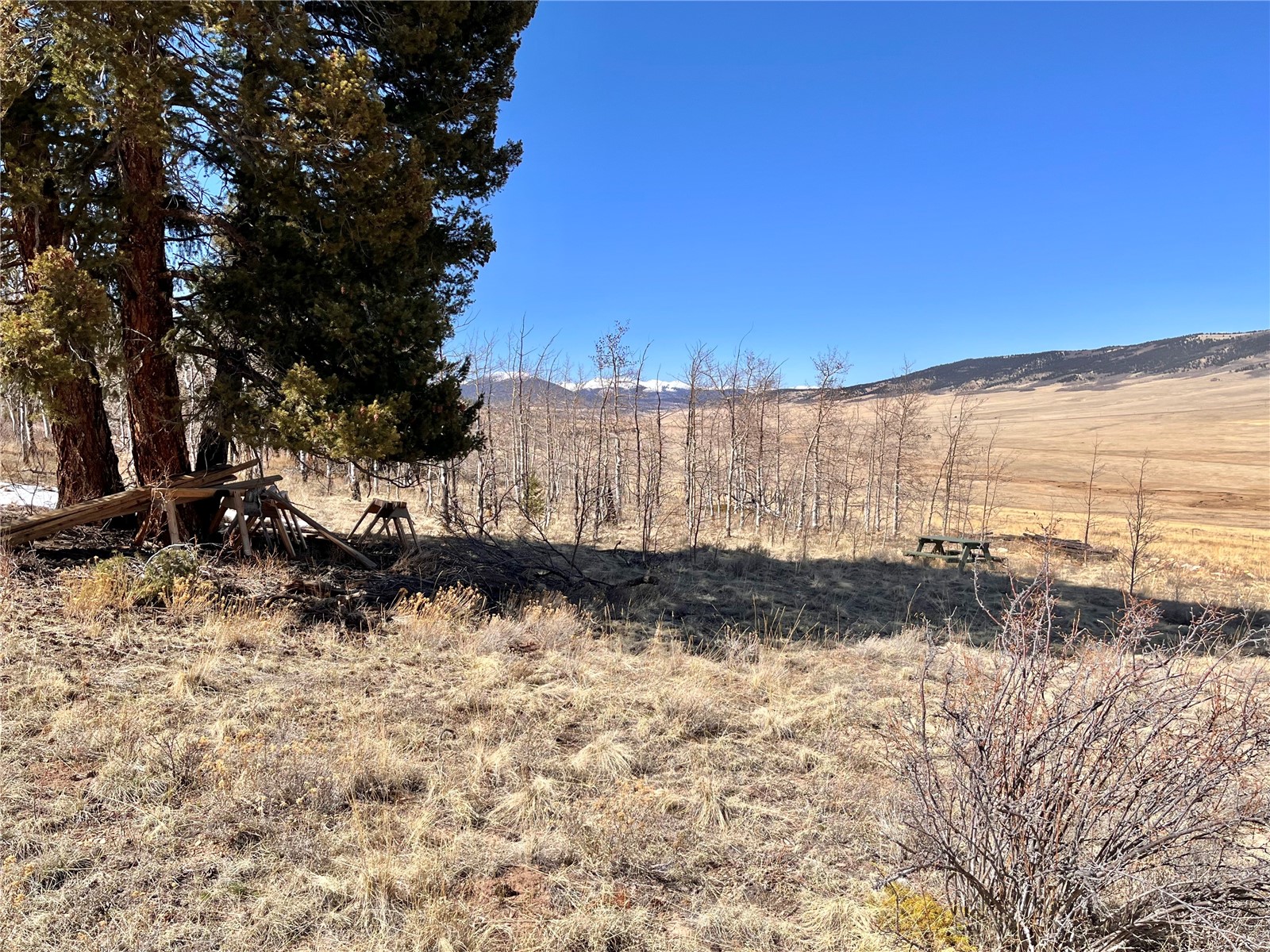 2952 Redhill Road Fairplay, CO 80440 - Photo 5 of 23 Gallery Image 5