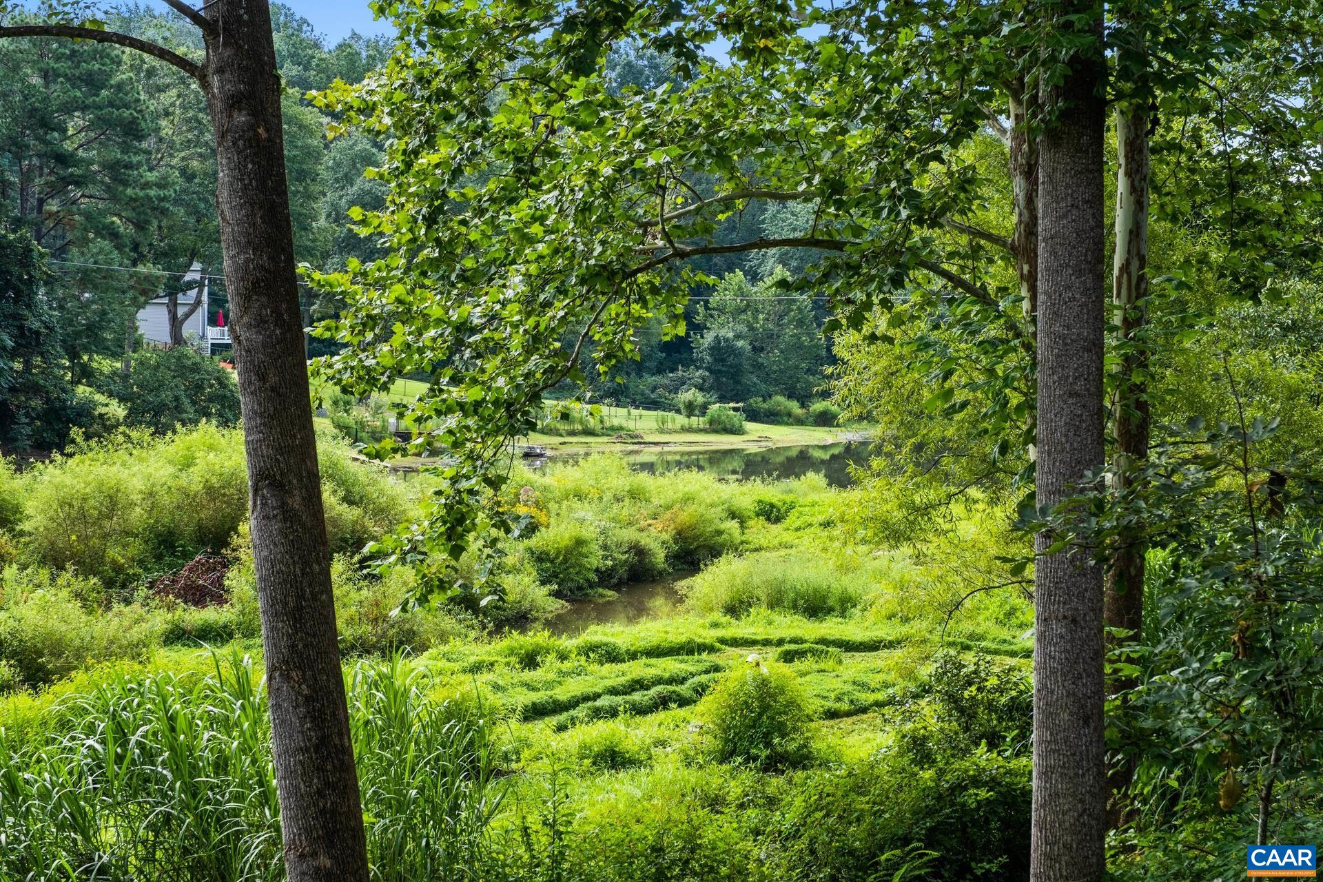 283 Logtrac Road Stanardsville, VA 22973 - Photo 41 of 49 a view of a lush green forest