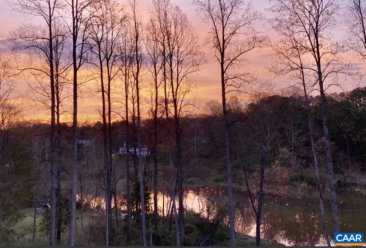 283 Logtrac Road Stanardsville, VA 22973 - Photo 48 of 49 a view of a city with lots of trees